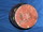 vase soliflor sign poussines sant vicens