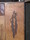 table basse signe roger capron